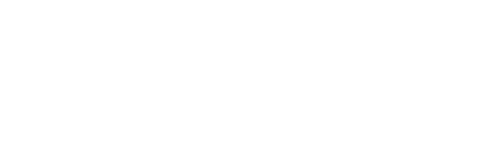 Japys food